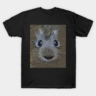 Guinea Pig Face T-Shirt